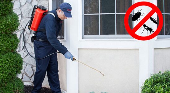 Erdek Pire İlaçlama böcek ilaçlama ve haşere kontrolü — ilaclama-tr.com